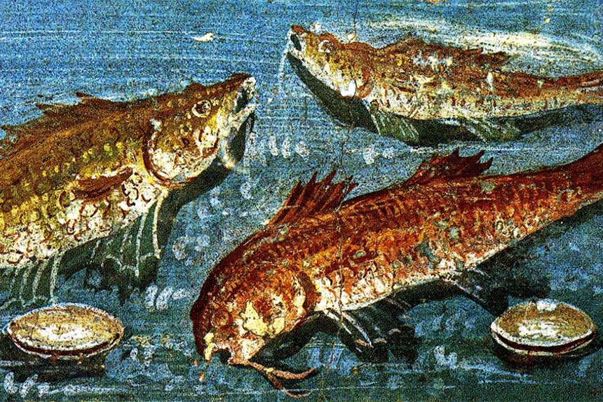 Roman fresco with fish