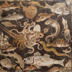 Mosaic with fish_Museo Archeologico Napoli